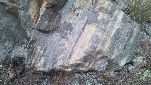 Гигантские зелёные валуны для ландшафтного дизайна весом более 5 тонн купить в Тольятти