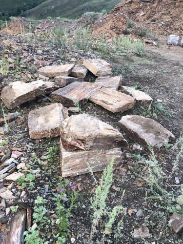 Плитняк кора дерева 50-100мм для пошаговых дорожек купить в Тольятти